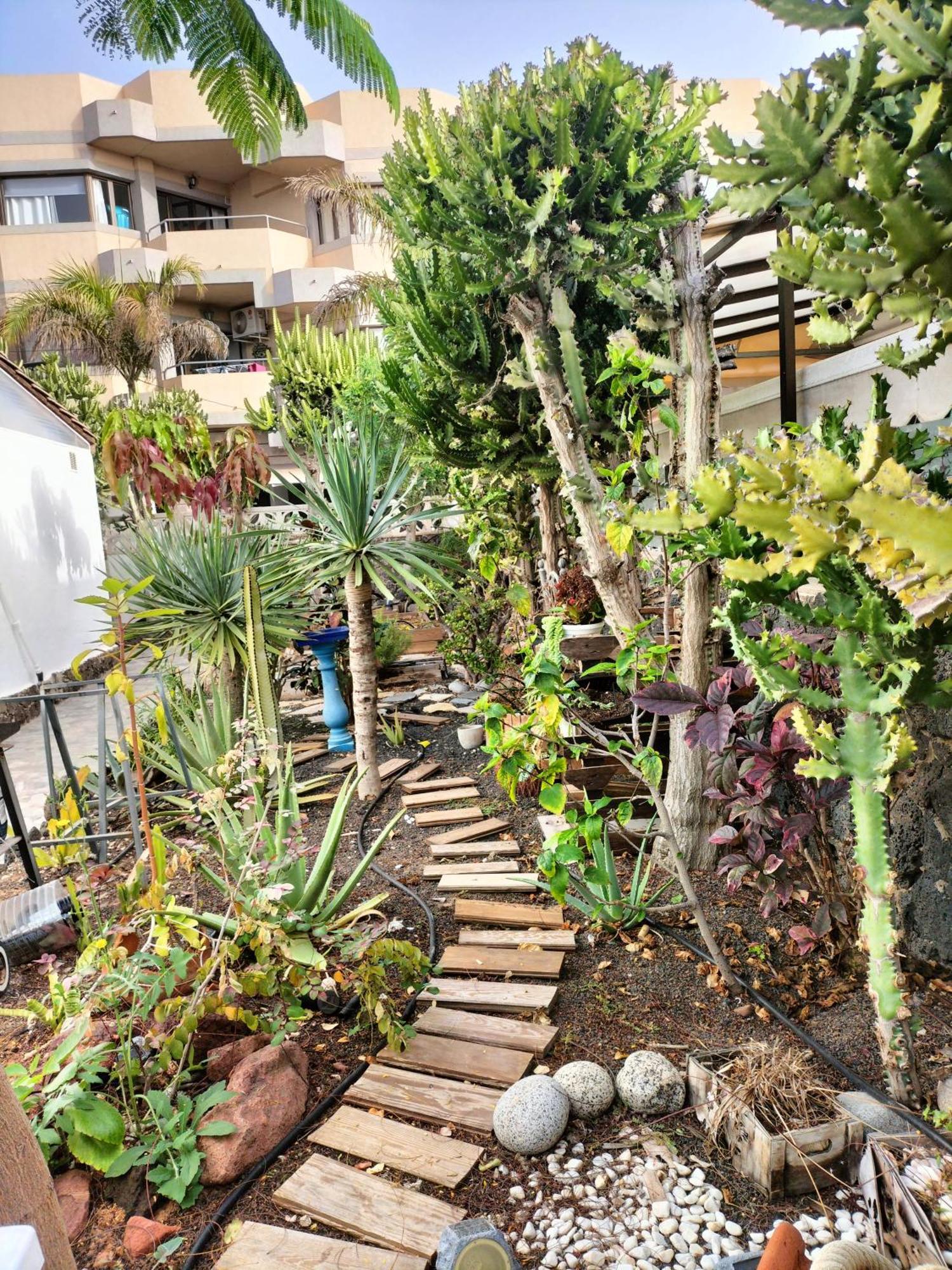 Apartamento Diamar Corralejo Bagian luar foto